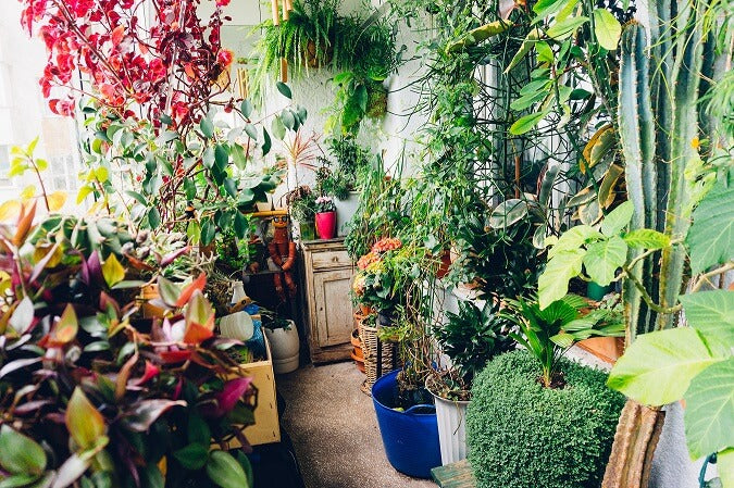 Hackney Botanical makes plant-filled tables from reclaimed window frames