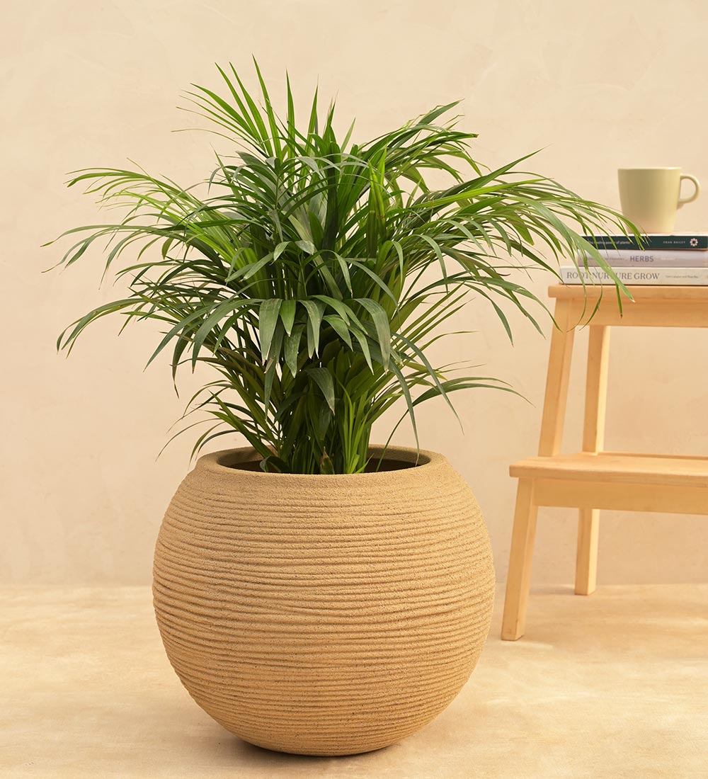 Lightweight 18in. x 17in. Pale Yellow Extra Large Tall Round Concrete Plant  Pot / Planter for Indoor & Outdoor