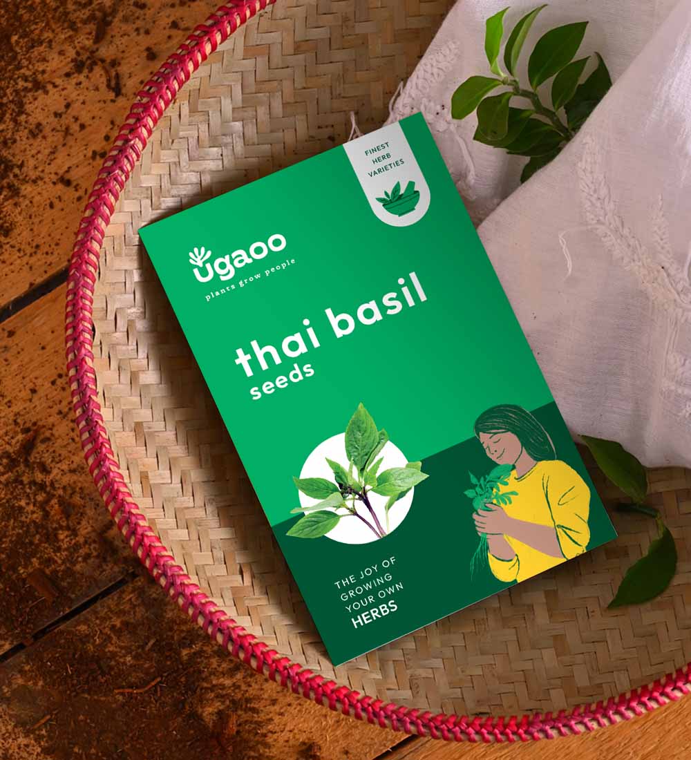 Thai Basil 1000 Seeds