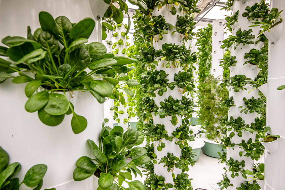 Aeroponic Tower Gardens: Grow Perfect Produce in Limited Space!