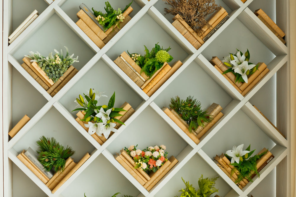 Bookshelf Plants