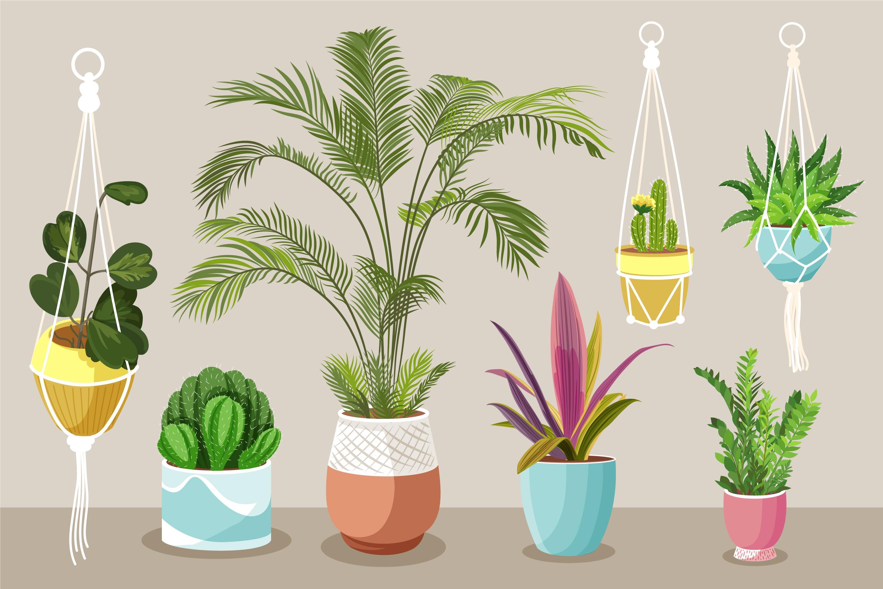 Mom's Garden Kit with Live Plants – Garden Inspired Living