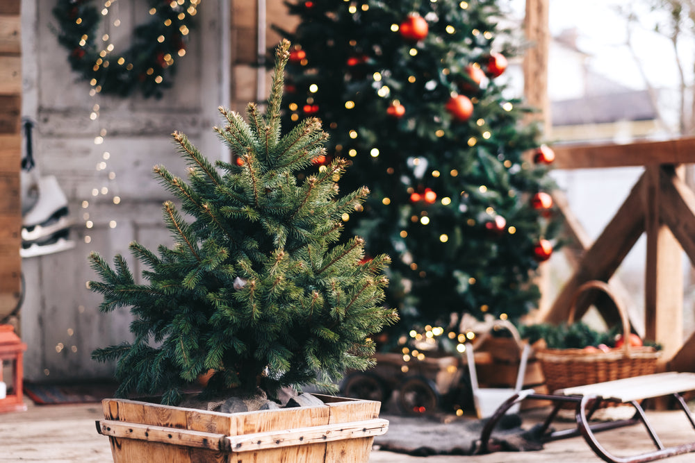 5 Christmas House Decorations Ideas This Year