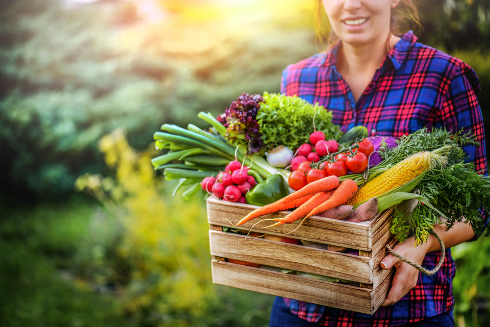 5 Fast-Growing Vegetables to Start At Home