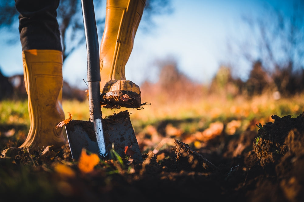 How to Dig Soil for Planting: Some Methods to Know