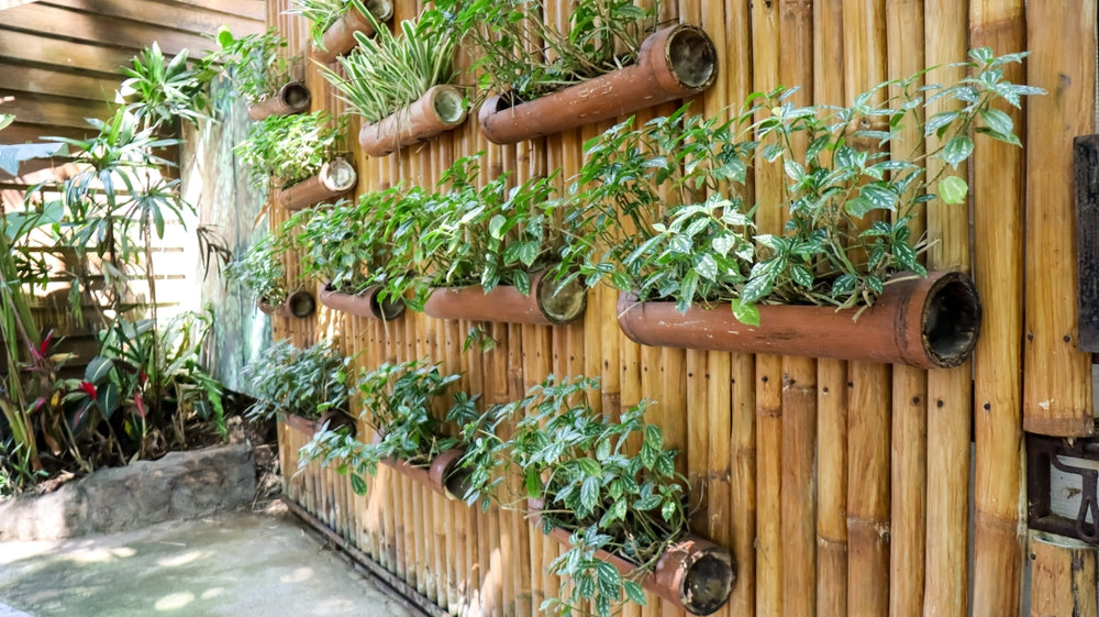 What Are Benefits of Vertical Gardening in Small Spaces?