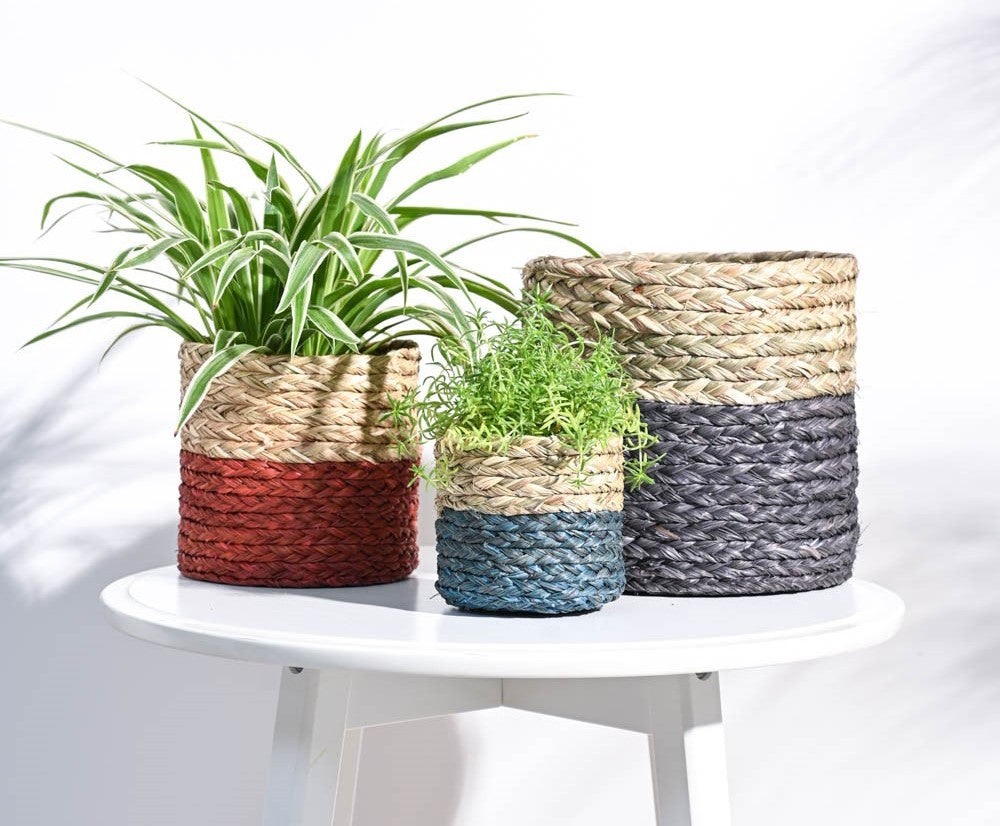 Basket Planters for Fit for All Your Garden Plants