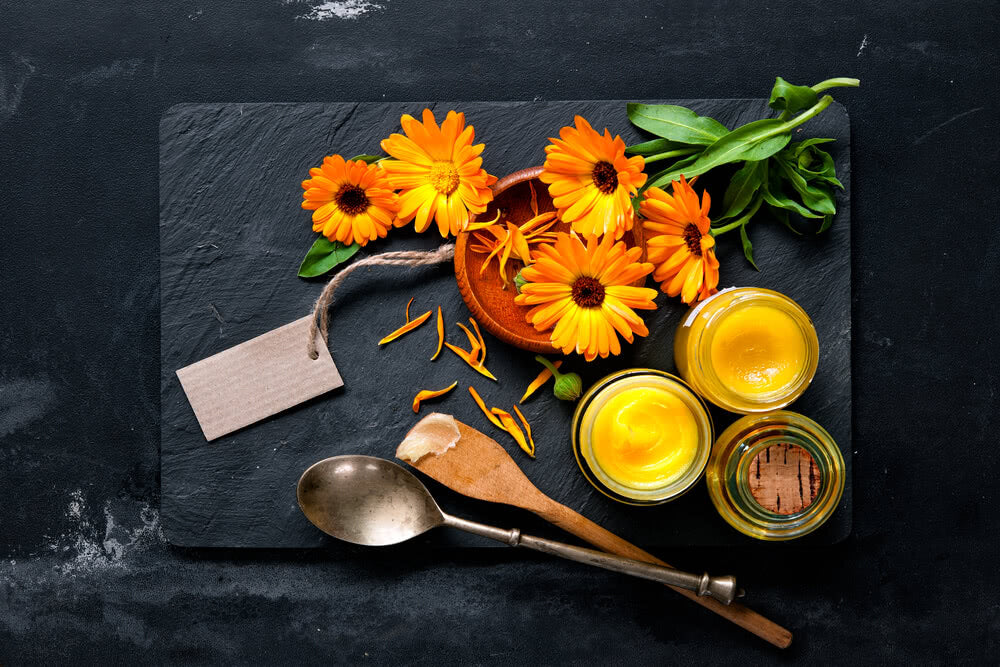 Growing Calendula from Seed