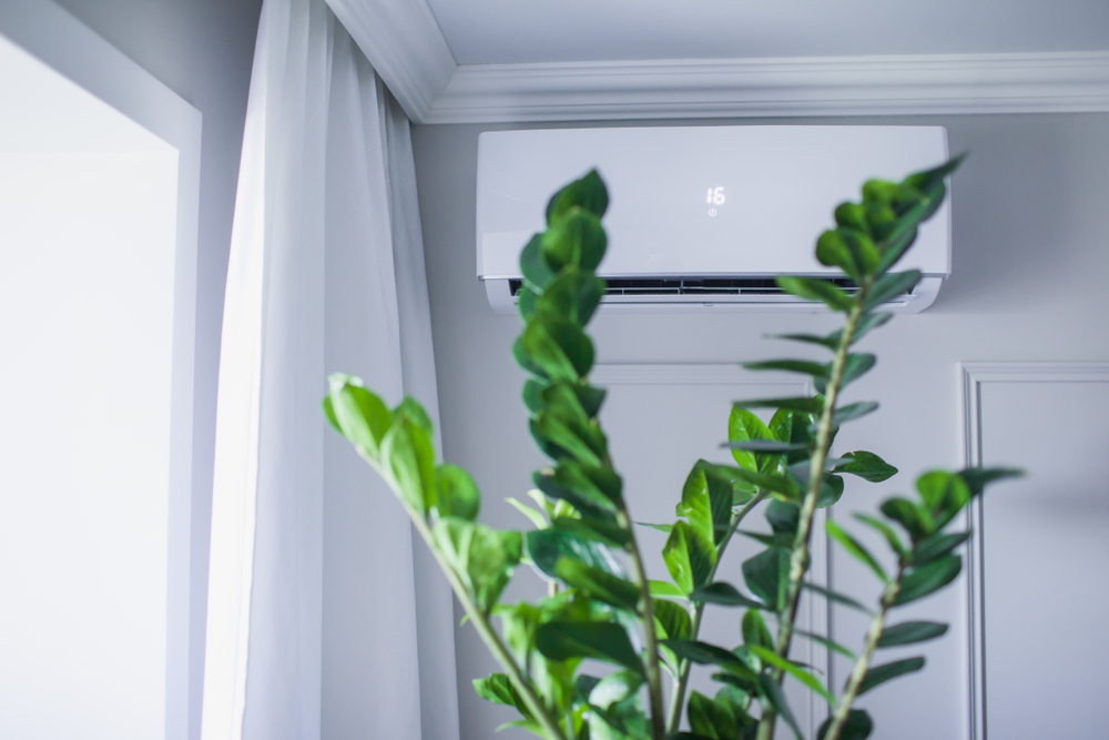 Is Air Conditioning Bad For Plants?