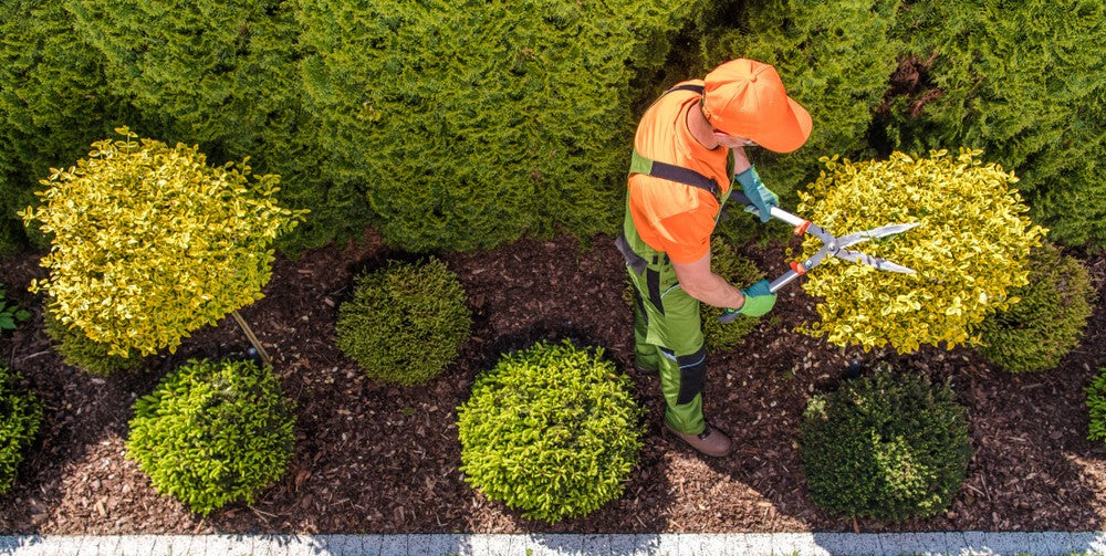 Professional Garden Maintenance