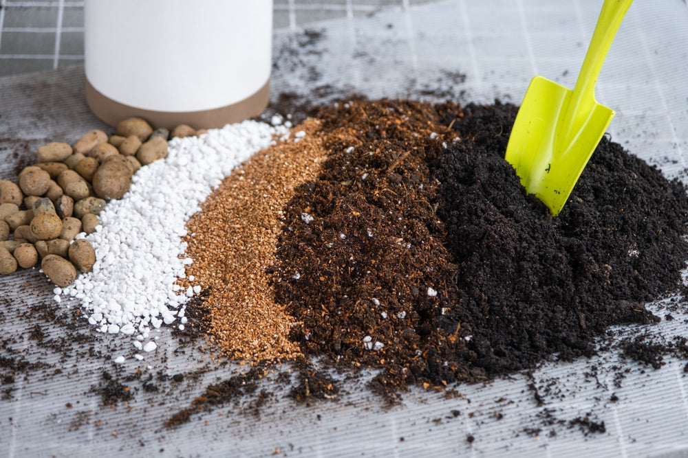 10 Soil Amendments to Boost Your Garden's Growth