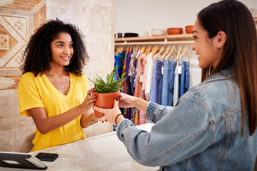 Why you should gift plants to employees?