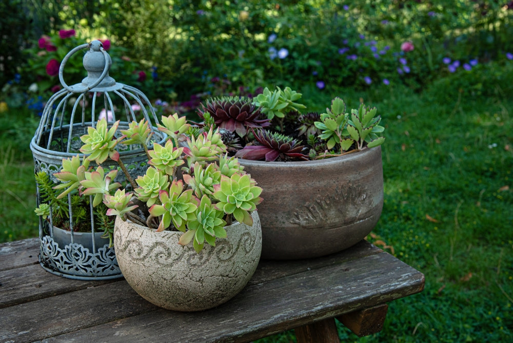 10 Pots and Planters for Your Outdoor Gardens