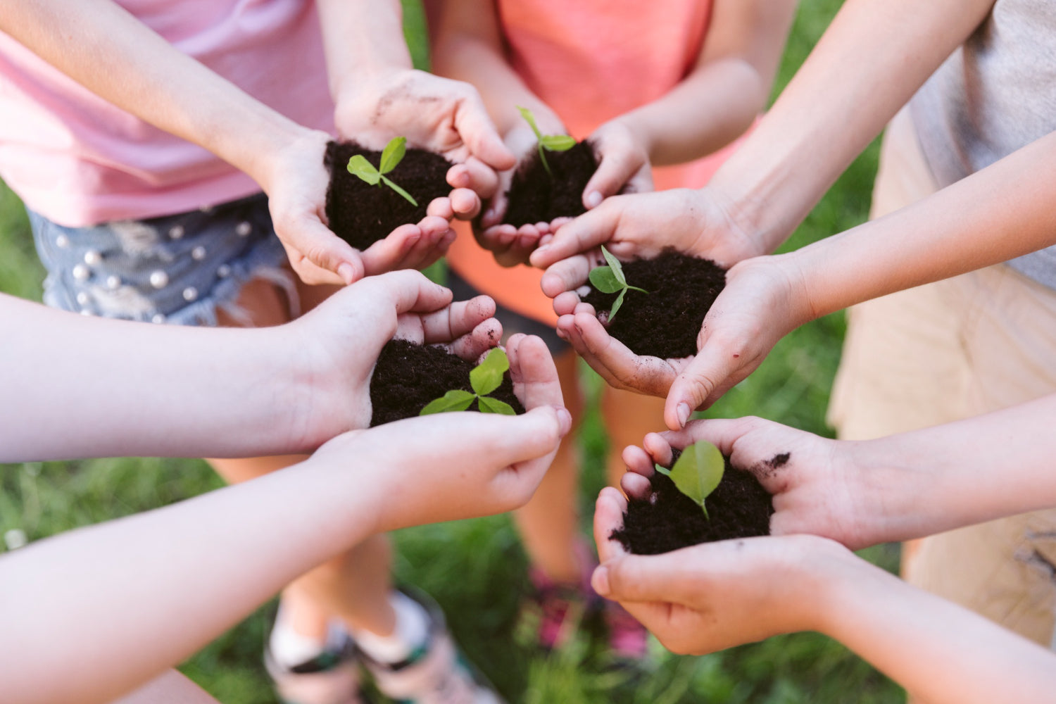 students hands for plants trees