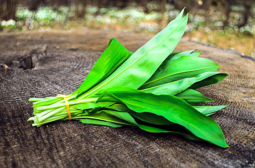 12 Wild Vegetables of India: A Monsoon Special