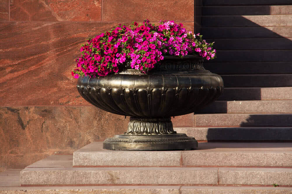 Gardening in Tubs and Urns