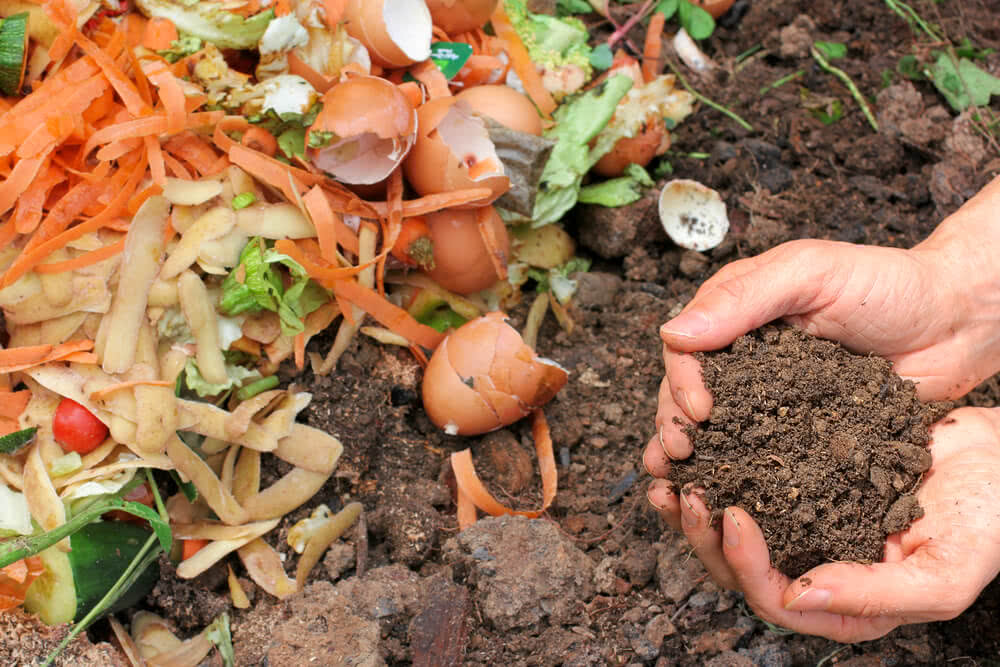 How Does Composting Work?