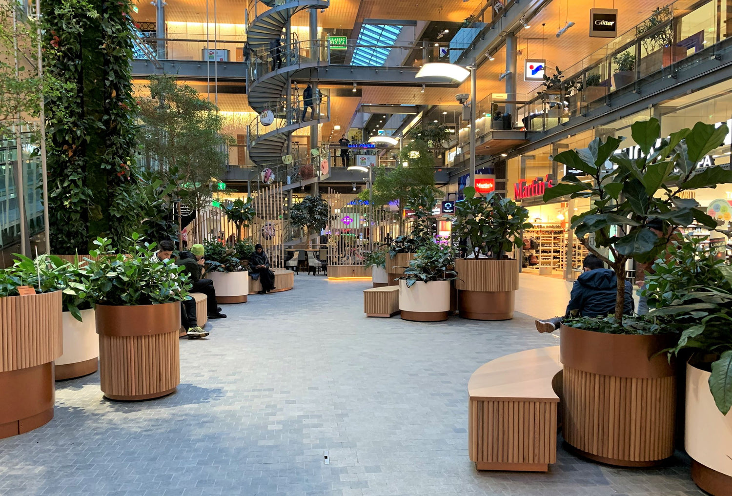 6 Best Low-Maintenance Plants For Your Retail Space