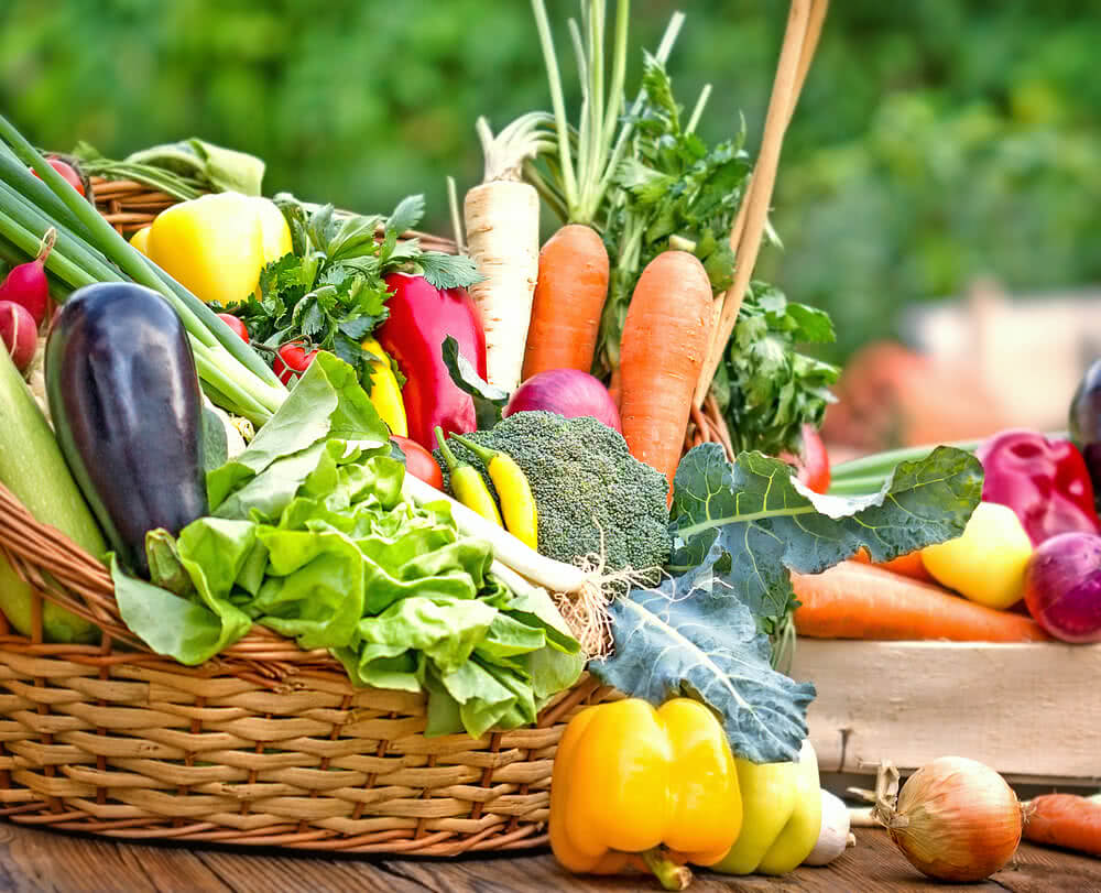 Winter Vegetables in India