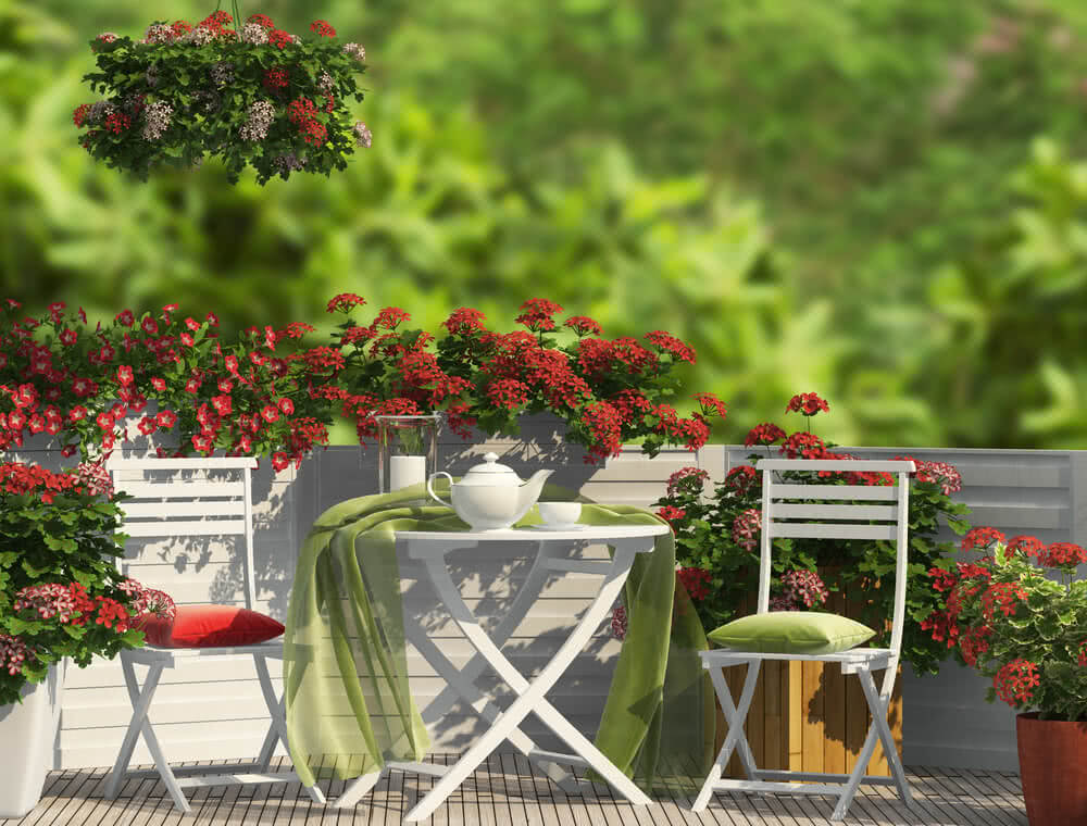 Terrace Gardening in India