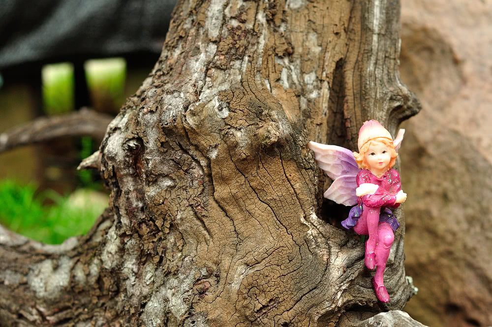 How to start a Fairy Garden