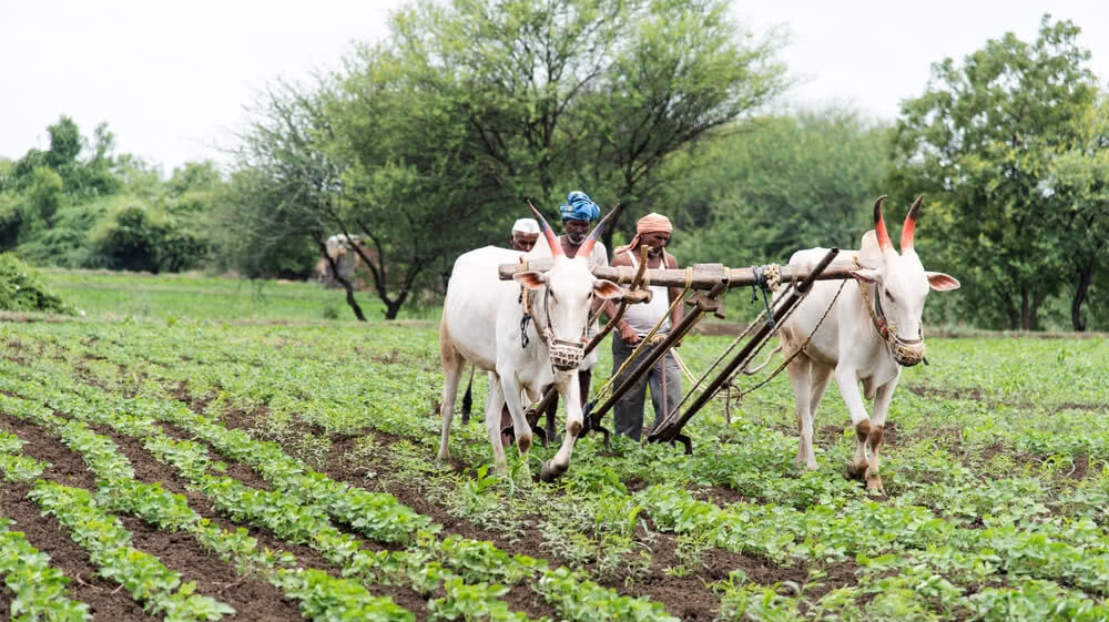 10 Ways in which Indian Farmers can Save Water