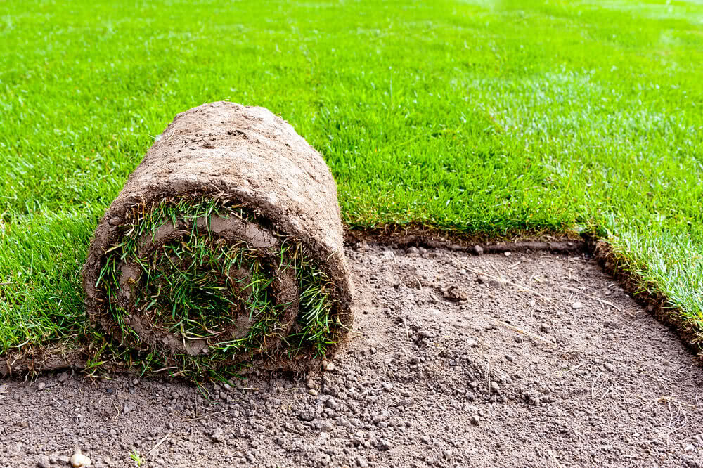 How to Create a Perfect Lawn