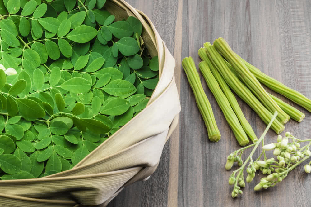 How to Grow Moringa At Home