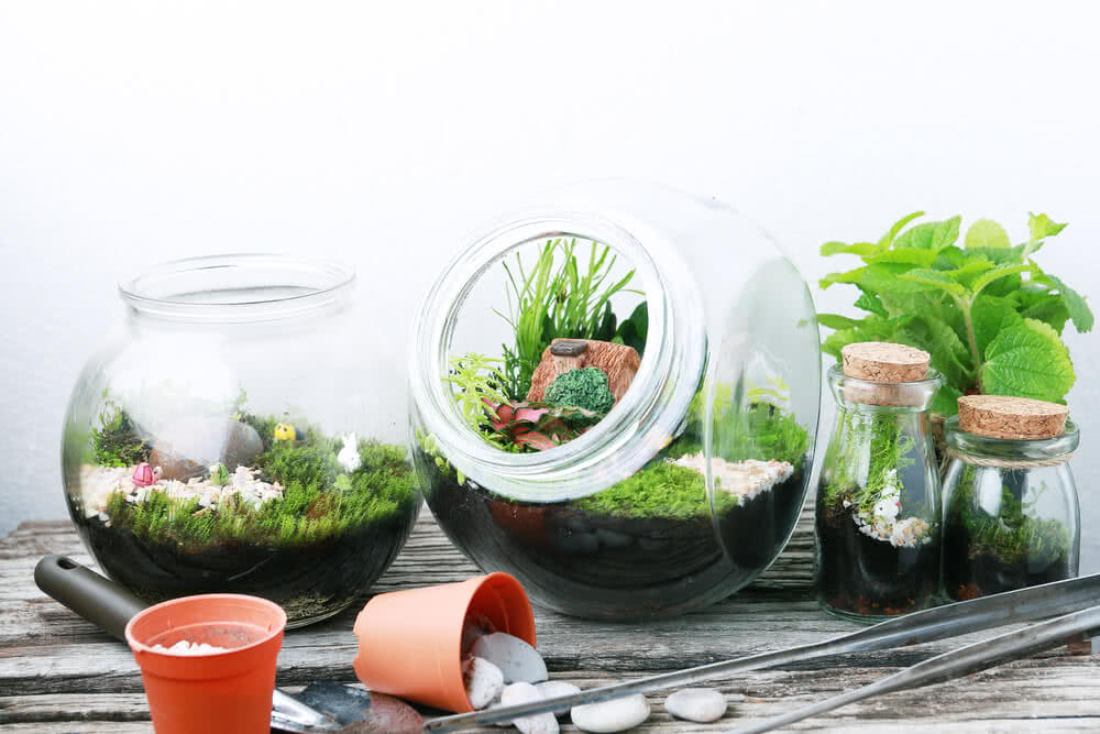 DIY: Beautiful Terrariums