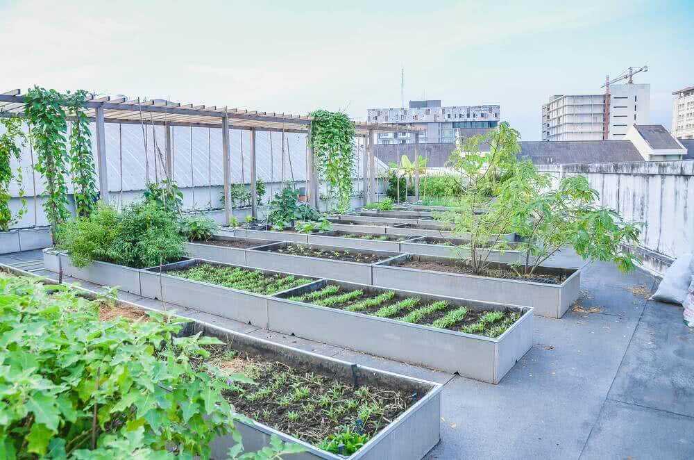 Preparing the floor for terrace gardening and green roofs