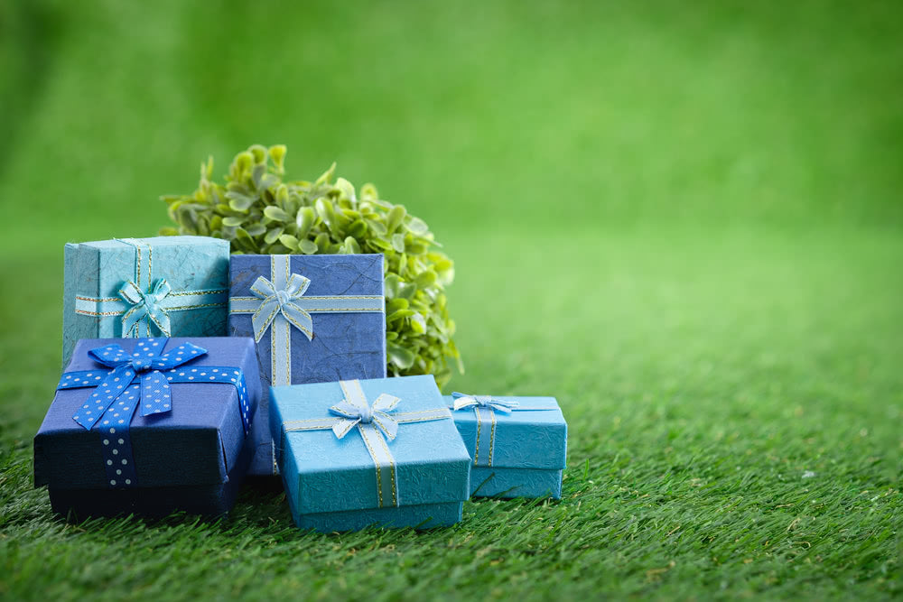 Best Raksha Bandhan Gifts for Gardeners