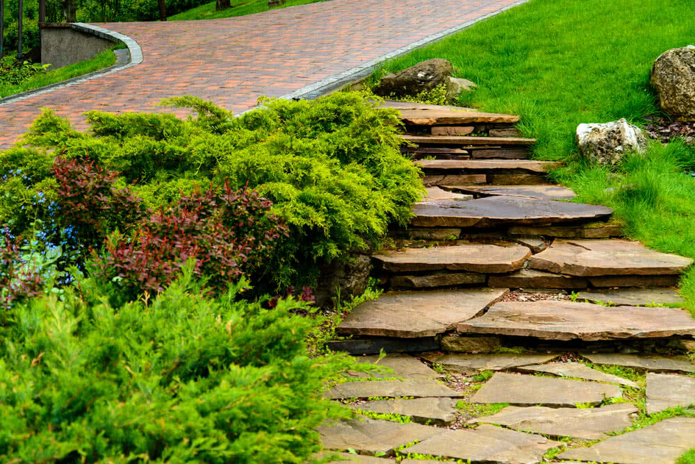 Top 10 tips for landscape design