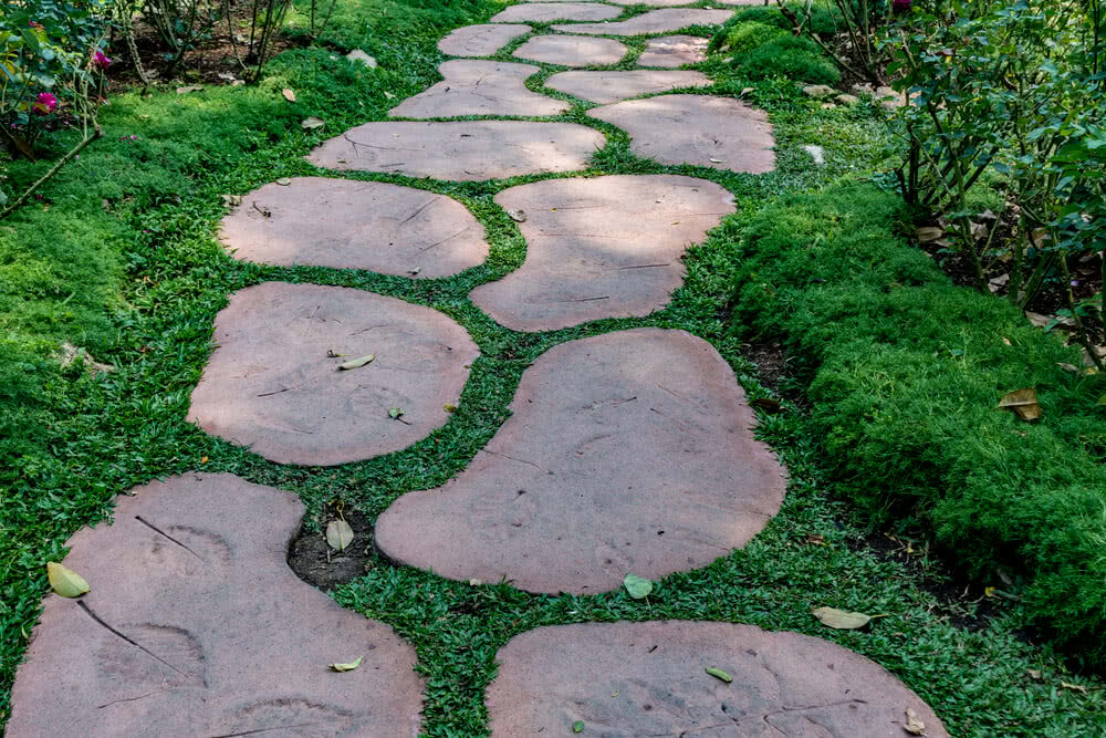 7 Beautiful Ground Cover Plants for Garden Walkways