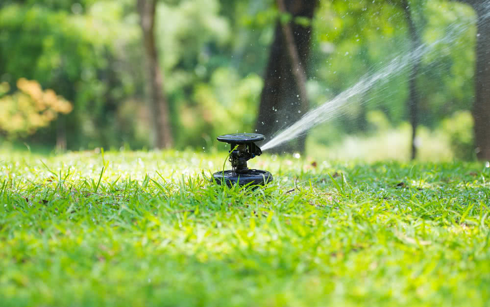 How to Maintain a Lawn