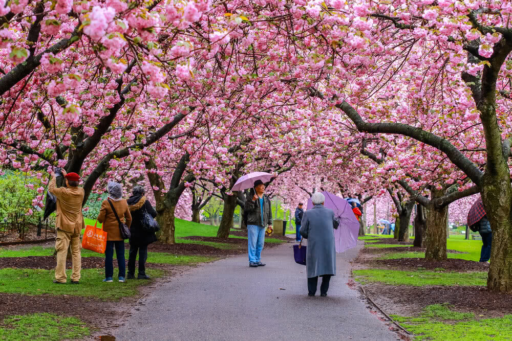 Gardens That Will Heal Your Soul