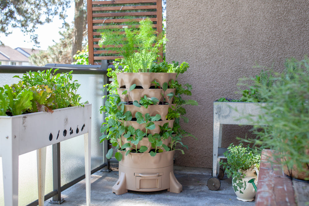 Vertical Gardening in the Monsoon: Maximising Space and Greenery