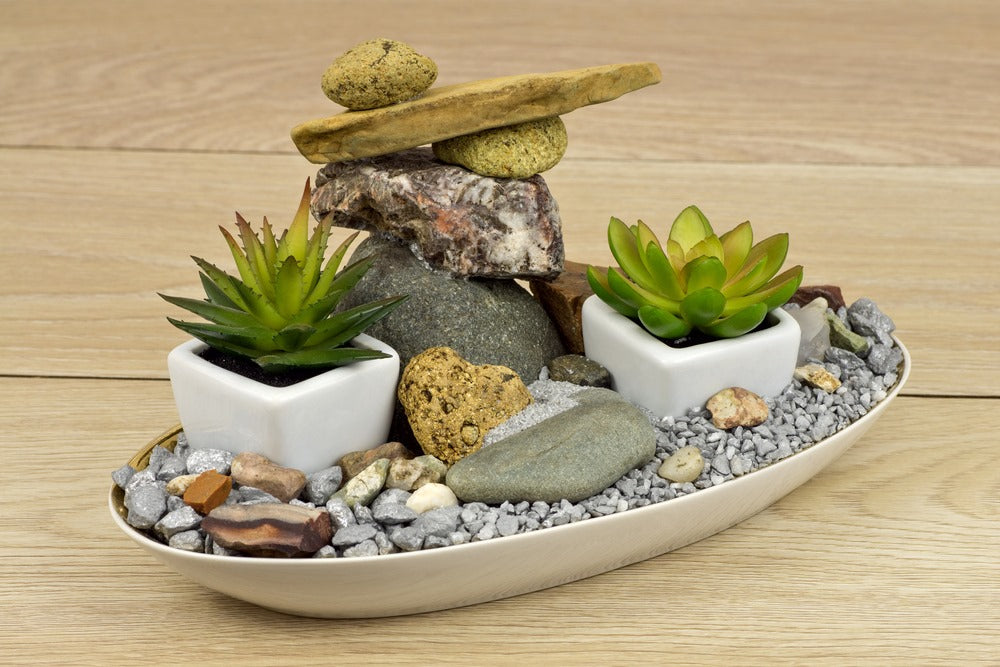 Indoor Zen Garden at Home 