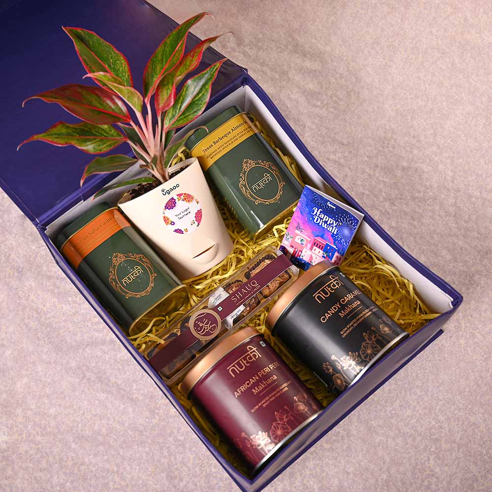 Aglaonema Red Plant &amp; Nutki Gift Hamper