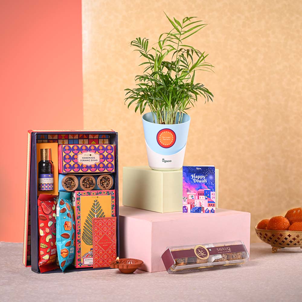 Bamboo Palm Plant &amp; Phool Diwali Gift Hamper