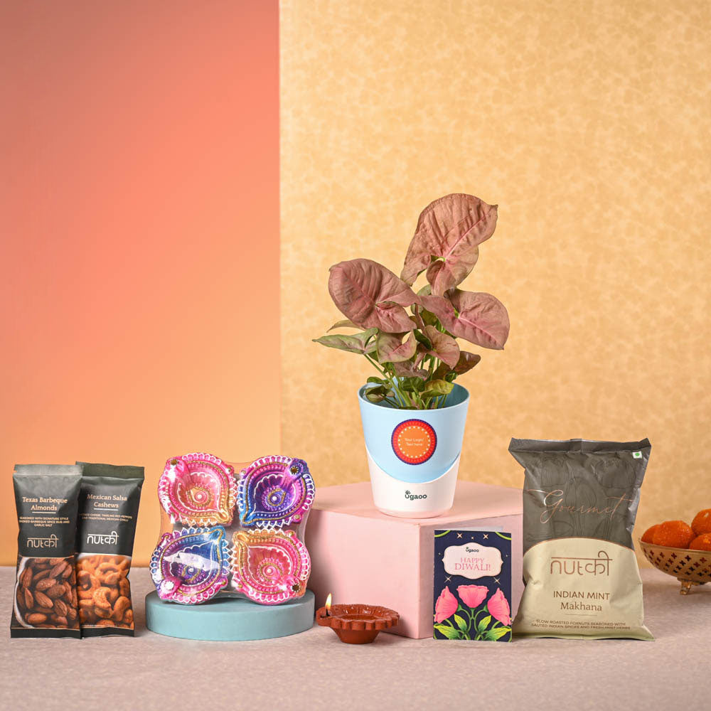 Syngonium Pink Plant and Nutki Diwali Gift Hamper