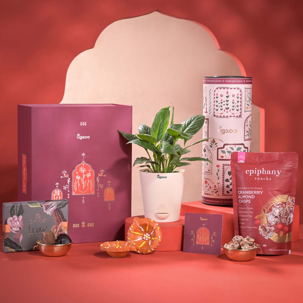 Light &amp; Luck Diwali Gift Hamper