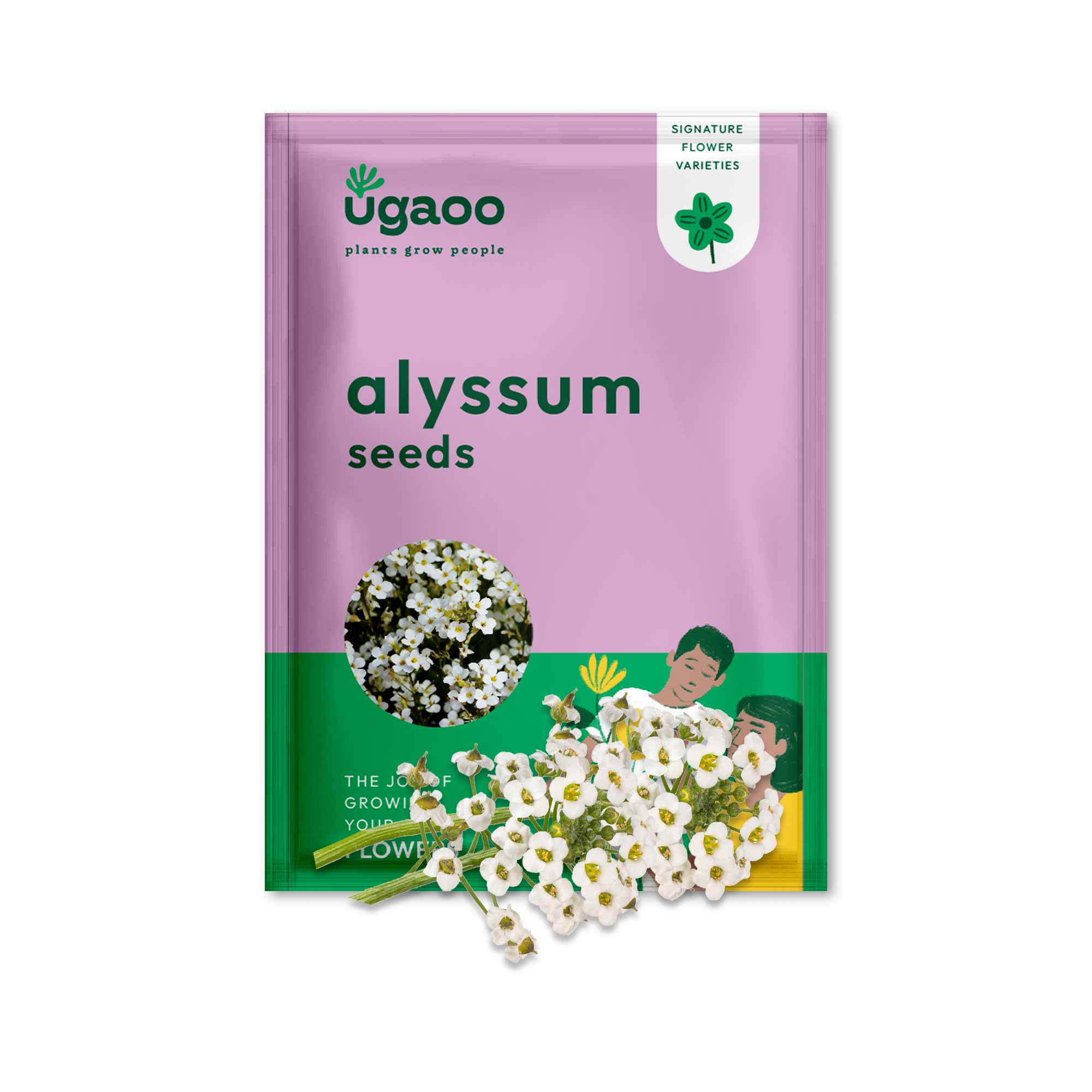 Alyssum Seeds