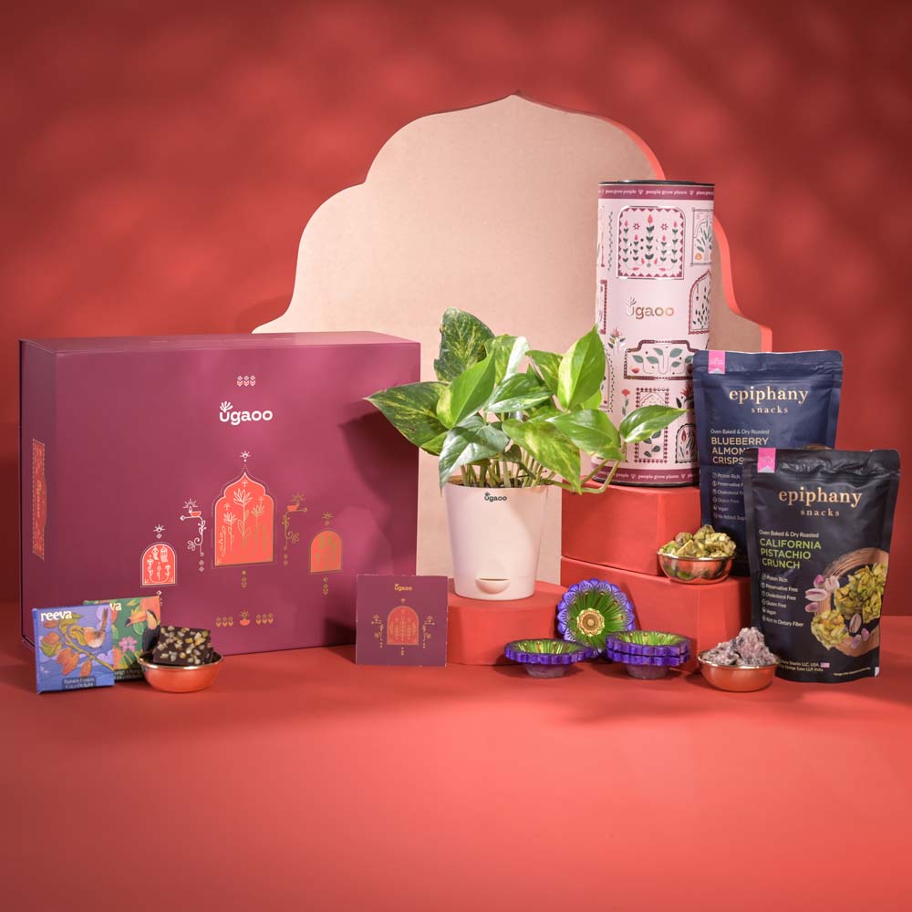 Eternal Blessings Diwali Gift Hamper