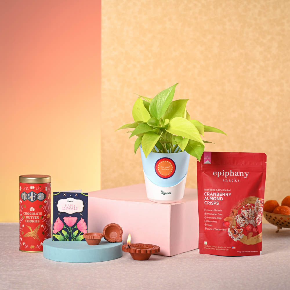 Money Plant Golden & Bombay Sweet Shop Diwali Gift Hamper – Ugaoo