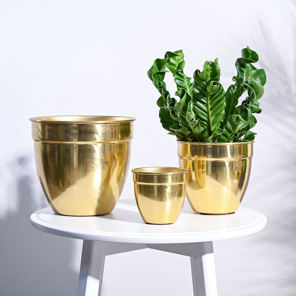 Golden Opulence Planter