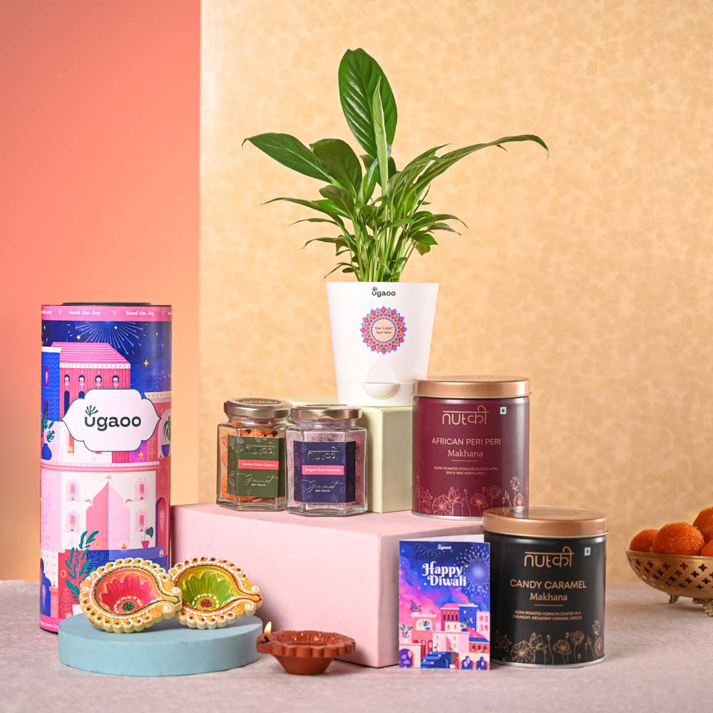 Peace Lily &amp; Nutki Diwali Gift Hamper