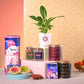 Peace Lily & Nutki Diwali Gift Hamper