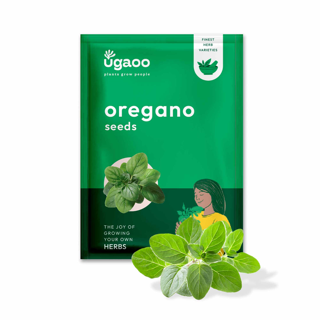 Oregano Seeds