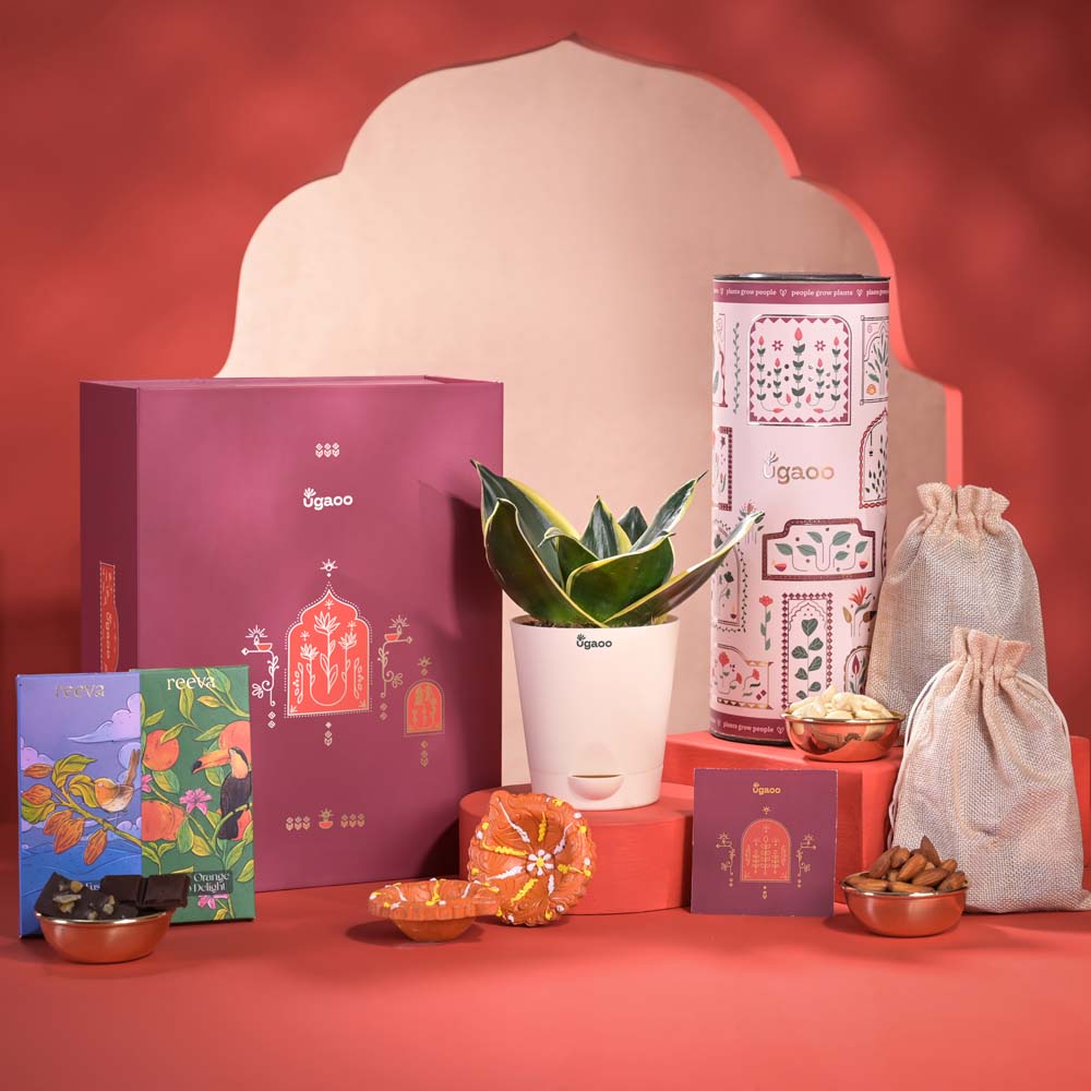 Radiance &amp; Fortune Diwali Gift Hamper