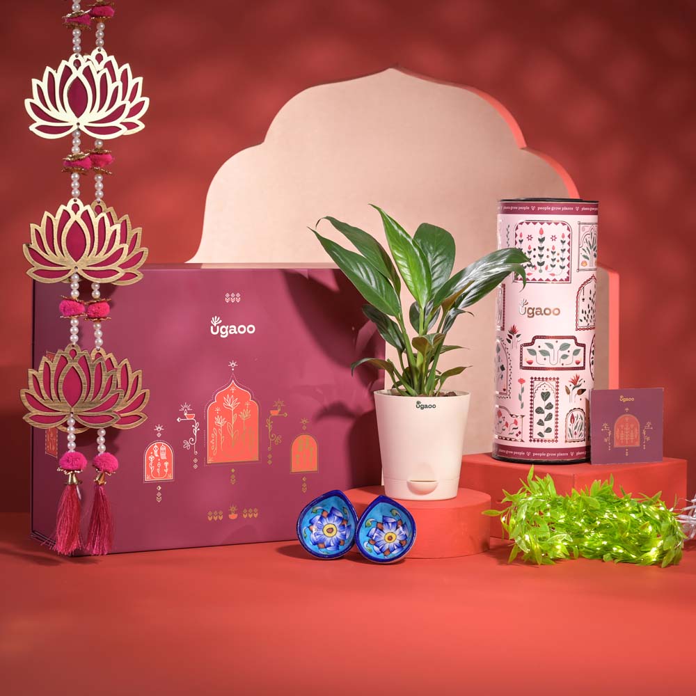 Peace of Mind Diwali Gift Hamper